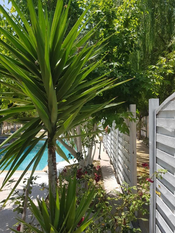 Villa Adonis With Private Pool By Lefkadastay Bagian luar foto